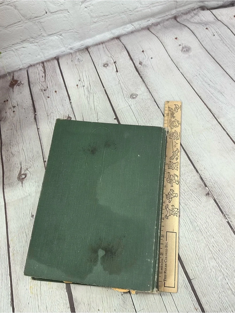 vtg 1924 Pinocchio D. collodi mayflower series hardcover illustrated children’s